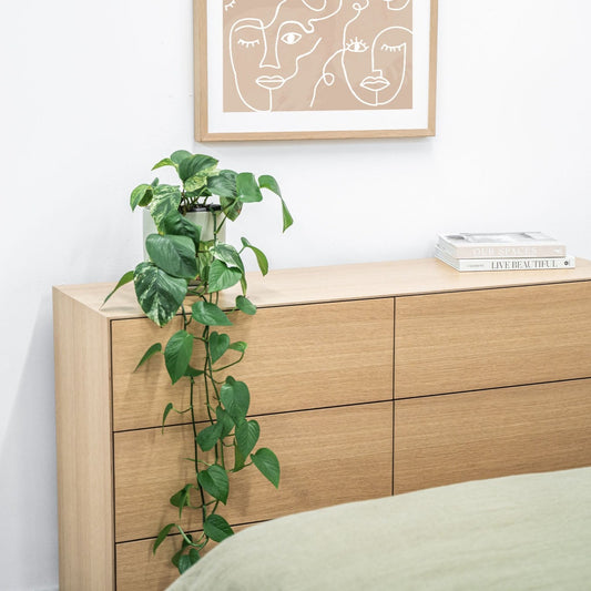 Slim 6 Drawer Lowboy