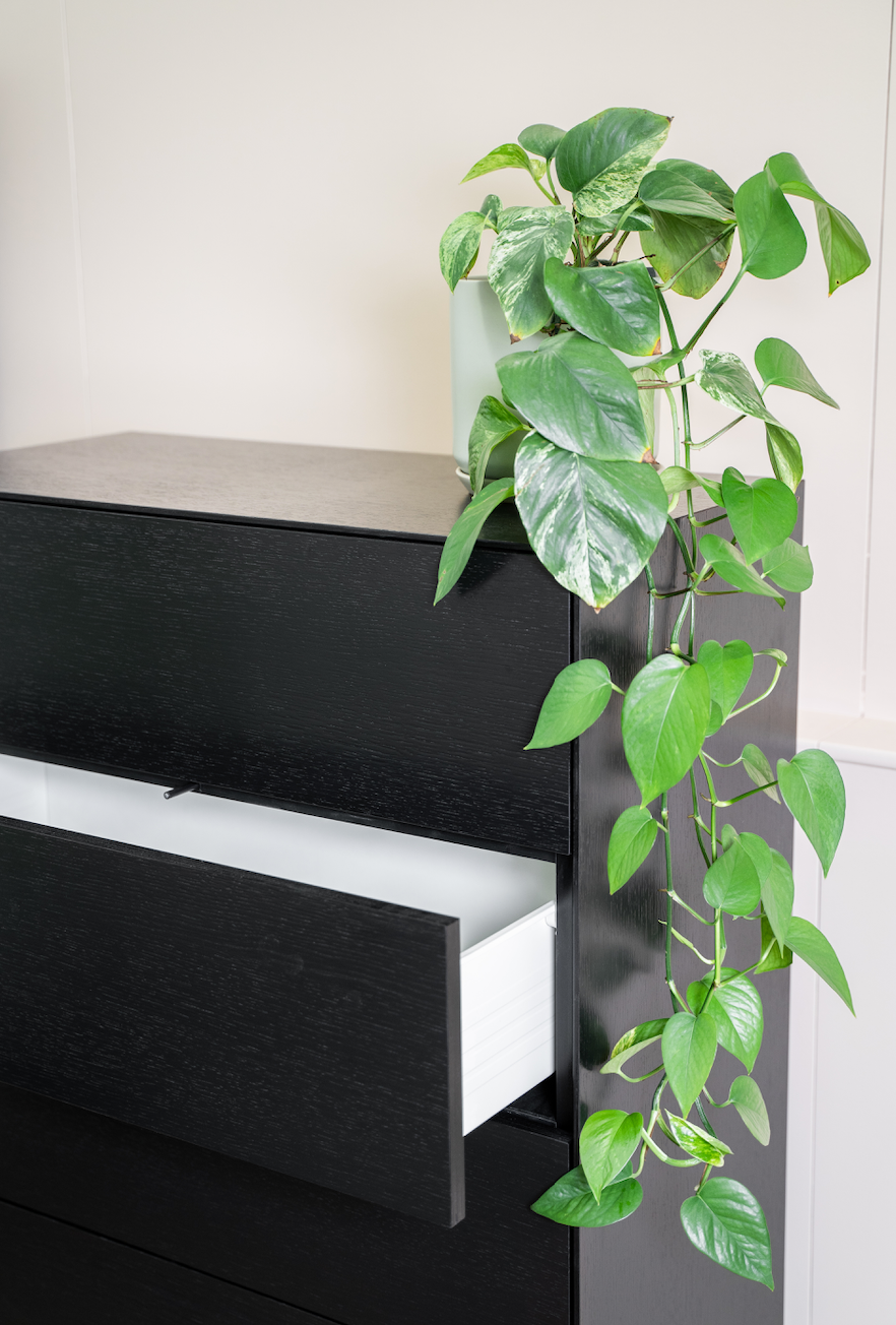 Slim 5 Drawer Tallboy