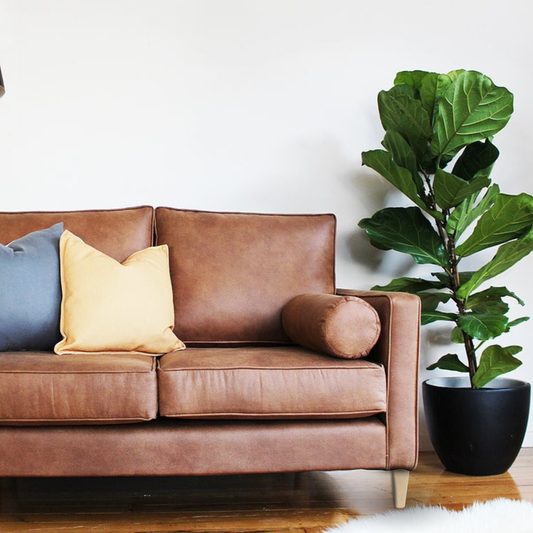 Plimmerton Vegan Leather Sofa - 2 Seater